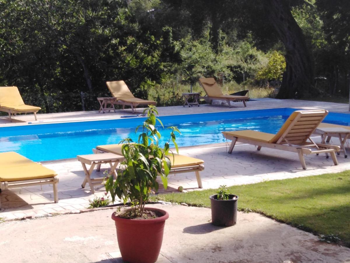 Apartment Ilias